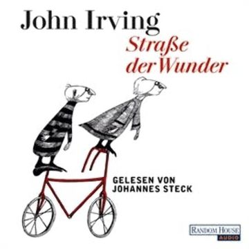 Straße der Wunder audiobook, John Irving