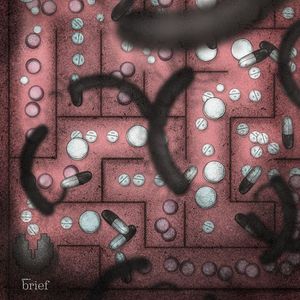 Brief #101 – Wymarzone zawody, Sahel i „baterie  jądrowe”, Outride.rs