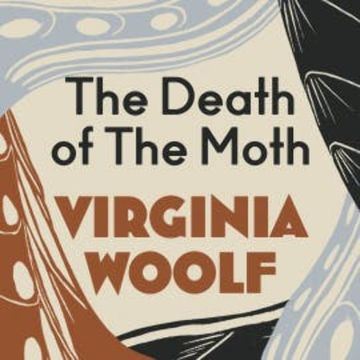 Death of a Moth audiobook, Virginia Woolf