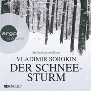 Der Schneesturm, Vladimír Sorokin