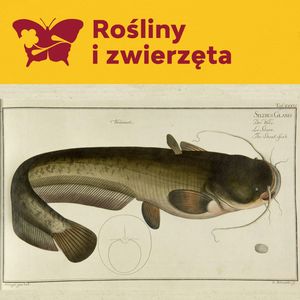 Ekonomiczna historia ryb niemieckich, Międzynarodowe Centrum Kultury