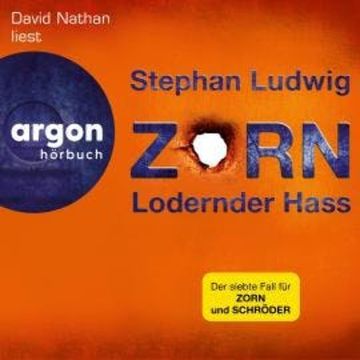 Lodernder Hass - Zorn, Band 7 (Ungekürzte Lesung) audiobook, Stephan Ludwig