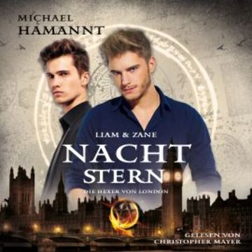 Liam & Zane audiobook, Michael Hamannt