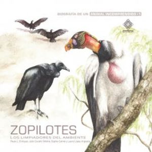 Zopilotes, los limpiadores del ambiente, Julio Coutiño Molina