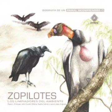 Zopilotes, los limpiadores del ambiente audiobook, Julio Coutiño Molina