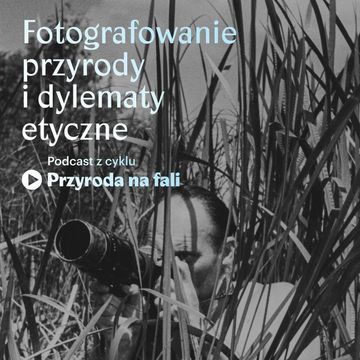 Fotografowanie przyrody i dylematy etyczne audiobook, Międzynarodowe Centrum Kultury