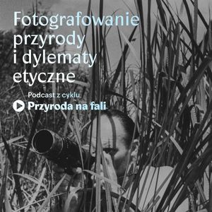 Fotografowanie przyrody i dylematy etyczne, Międzynarodowe Centrum Kultury