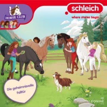 Folge 31: Die geheimnisvolle Falltür audiobook, N.N.