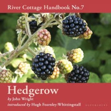 Hedgerow audiobook, John Wright