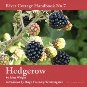 Hedgerow, John Wright
