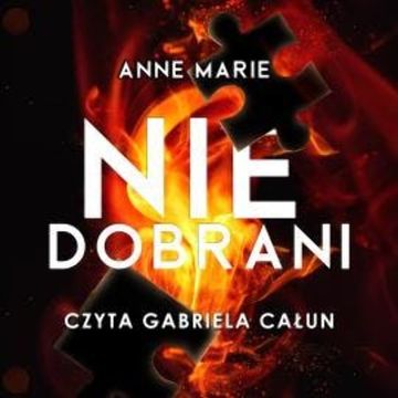 Niedobrani audiobook, Anna Stachowiak