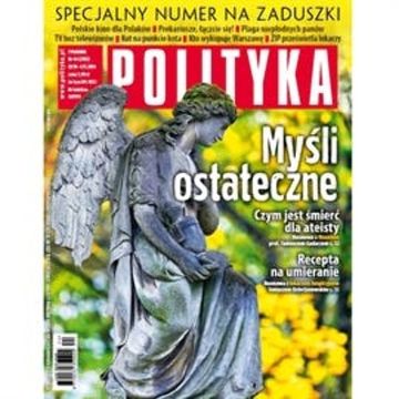 AudioPolityka Nr 44 z 29 października 2014, Polityka