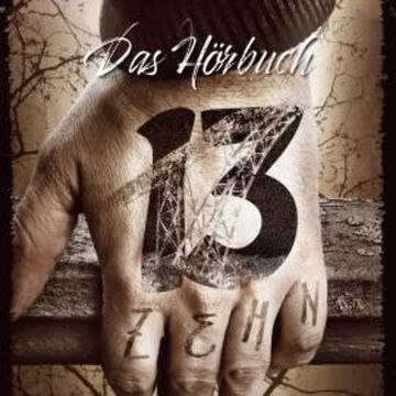 13zehn audiobook, Daniel Juhr
