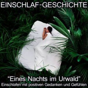 Einschlaf-Geschichte - Eines Nachts im Urwald, Raphael Kempermann