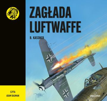Zagłada Luftwaffe audiobook, B. Kassner