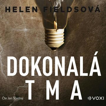 Dokonalá tma audiobook, Helen Fieldsová