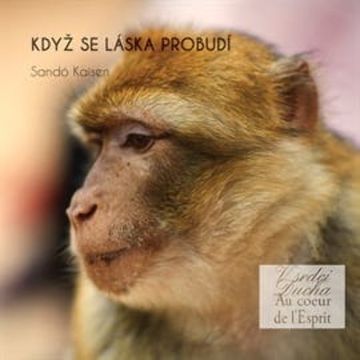 Když se láska probudí audiobook, Sandó Kaisen