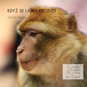 Když se láska probudí, Sandó Kaisen