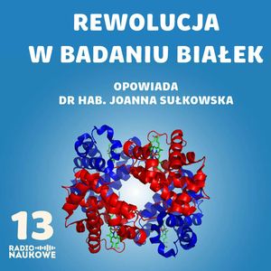 #13 Wielkie WOW w biologii. Sztuczna inteligencja świetnie przewiduje strukturę 3D białek | prof. Joanna Sułkowska, Karolina Głowacka