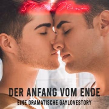 Der Anfang vom Ende audiobook, Stella Fleur