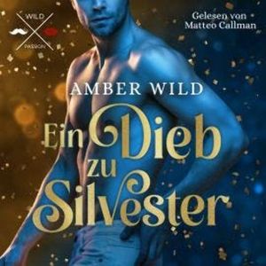 Ein Dieb zu Silvester - Humorvolle Gay Romance zu Weihnachten (ungekürzt), Amber Wild