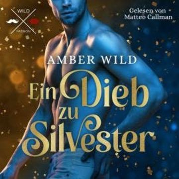 Ein Dieb zu Silvester - Humorvolle Gay Romance zu Weihnachten (ungekürzt) audiobook, Amber Wild