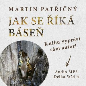 Jak se říká báseň, Martin Patřičný