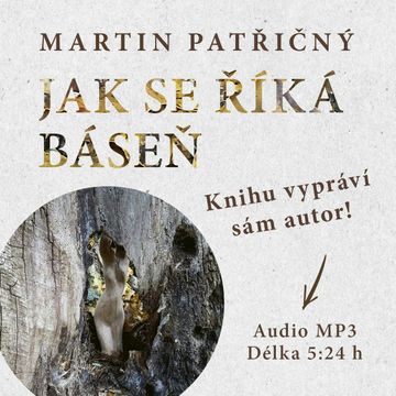 Jak se říká báseň audiobook, Martin Patřičný