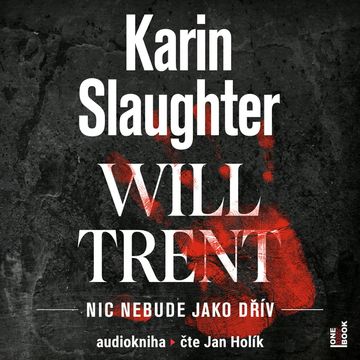 Nic nebude jako dřív, Karin Slaughter