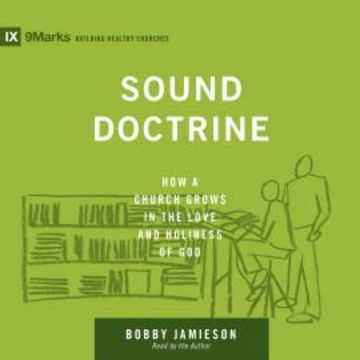 Sound Doctrine audiobook, Bobby Jamieson