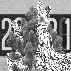 Brief #146 – Szkodliwe kominki, indyjskie przyprawy i "Tren Maya", Outride.rs