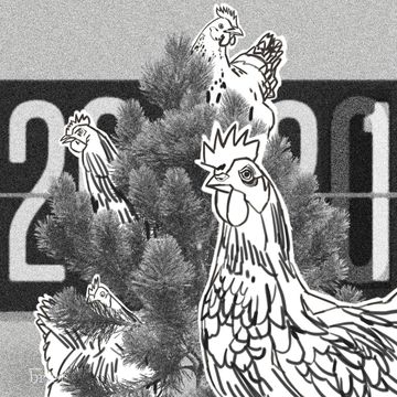 Brief #146 – Szkodliwe kominki, indyjskie przyprawy i "Tren Maya" audiobook, Outride.rs