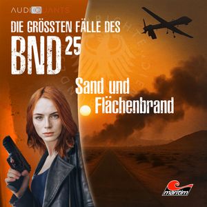 Die größten Fälle des BND, Folge 25: Sand und Flächenbrand (ungekürzt), Philip-Laszló Koch, Viktor Eirich