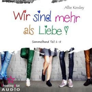 Sammelband Teil 1 - 5 - Wir sind mehr als Liebe (ungekürzt) audiobook, Allie Kinsley