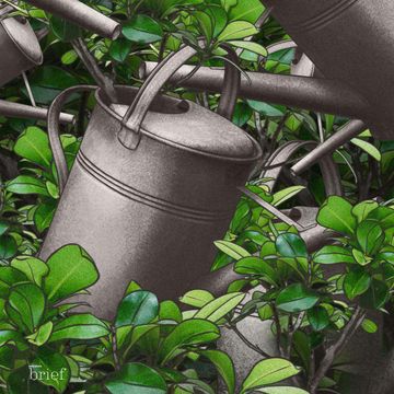 Brief #151 – Ekspansja zwierząt, „bank” Hezbollahu i pokój w Mali audiobook, Outride.rs