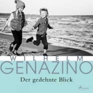 Der gedehnte Blick, Wilhelm Genazino
