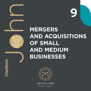 MERGERS AND ACQUSITIONS OF SMALL AND MEDIUM BUSINESSES audiobook, Vladimír John