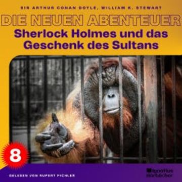 Sherlock Holmes und das Geschenk des Sultans (Die neuen Abenteuer, Folge 8) audiobook, William K. Stewart