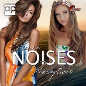 Silence, Noises, Perceptions audiobook, Casey Stone