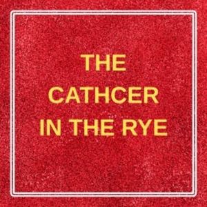 The Catcher in the Rye, Briefly Summaries