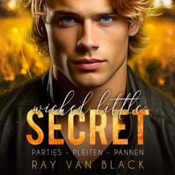 Wicked little Secret - Parties, Pleiten, Pannen: Gay Romance audiobook, Ray van Black
