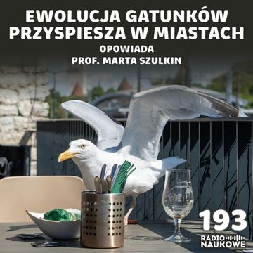 #193 Ewolucja w mieście - życie wśród betonu zmienia gatunki | prof. Marta Szulkin audiobook, Karolina Głowacka