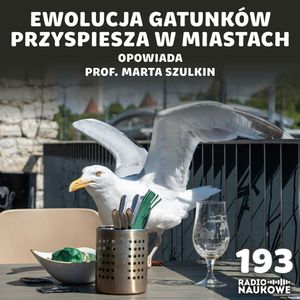 #193 Ewolucja w mieście - życie wśród betonu zmienia gatunki | prof. Marta Szulkin, Karolina Głowacka