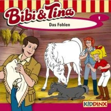 Bibi & Tina, Folge 1: Das Fohlen audiobook, Ulf Tiehm