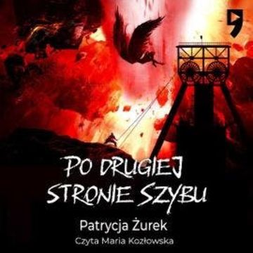 Po drugiej stronie szybu audiobook, Patrycja Żurek