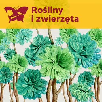 Rafael kwiatów – Pierre-Joseph Redouté audiobook, Międzynarodowe Centrum Kultury