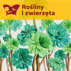 Rafael kwiatów – Pierre-Joseph Redouté, Międzynarodowe Centrum Kultury